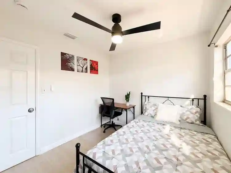 8 BR in Tampa