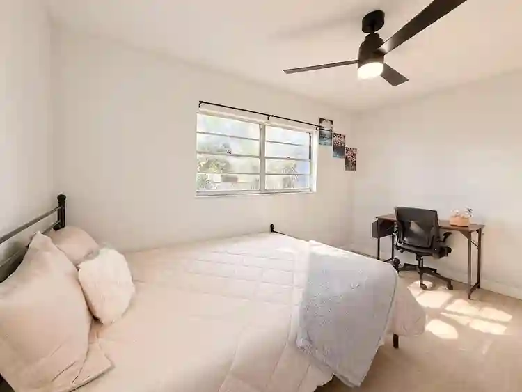 8 BR in Tampa