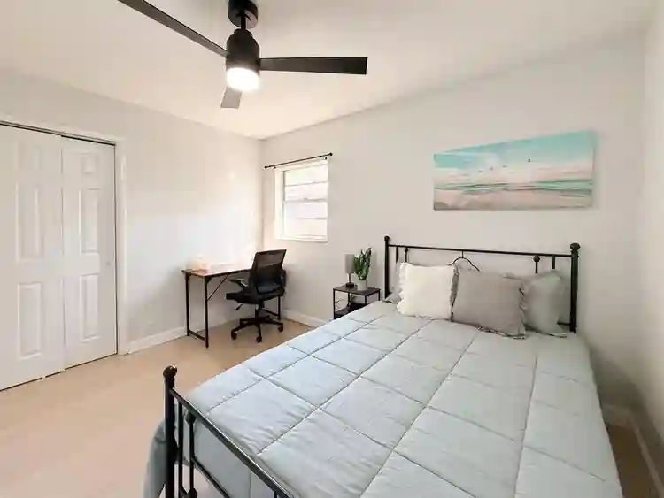 8 BR in Tampa