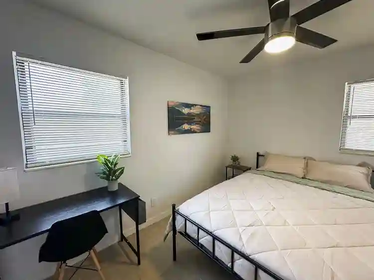 4 BR in Tampa