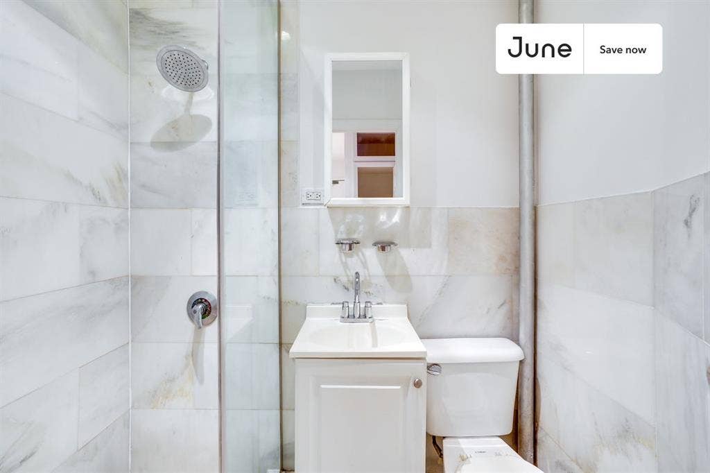 1 BR in New York City