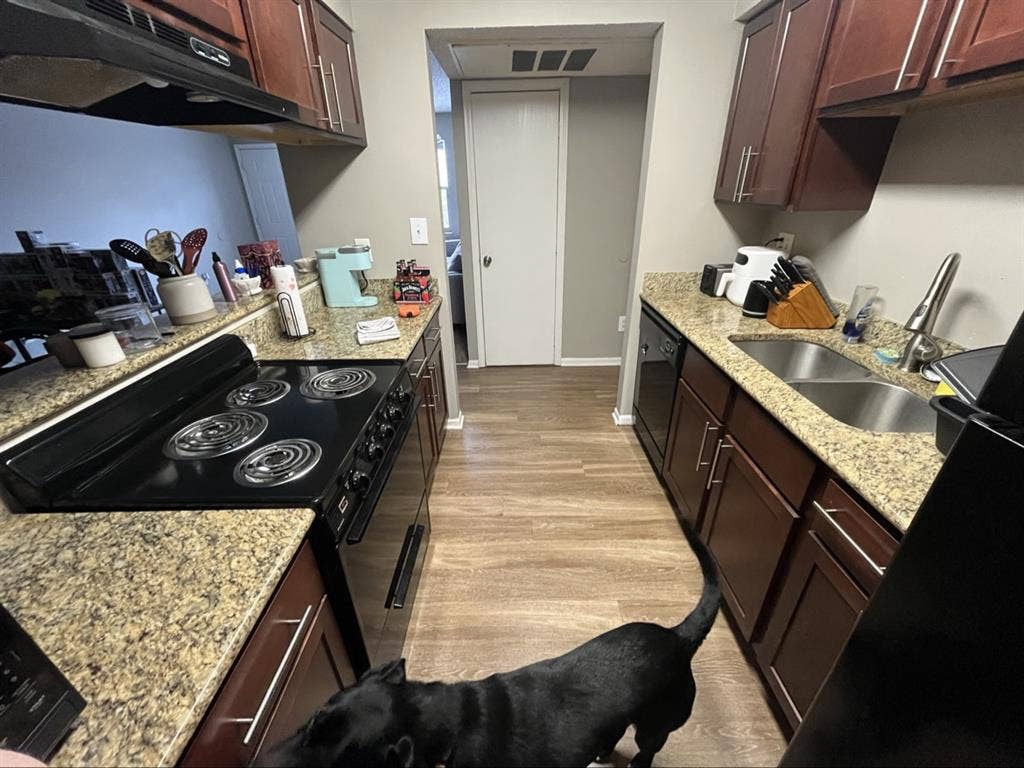 Looking for a roommate!