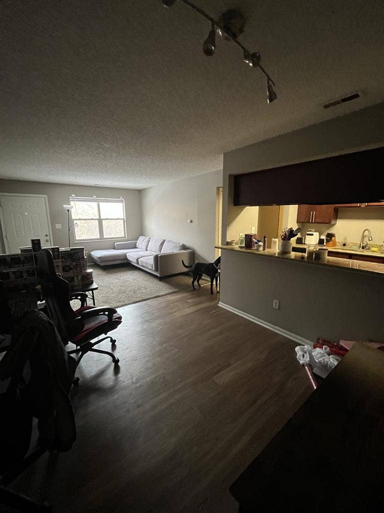 Looking for a roommate!