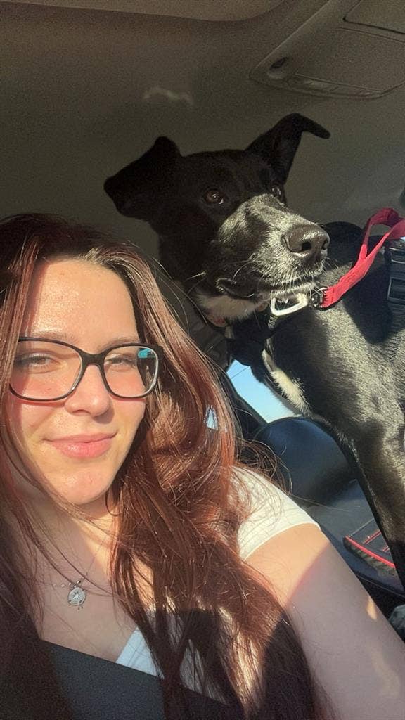 Looking for a roommate!