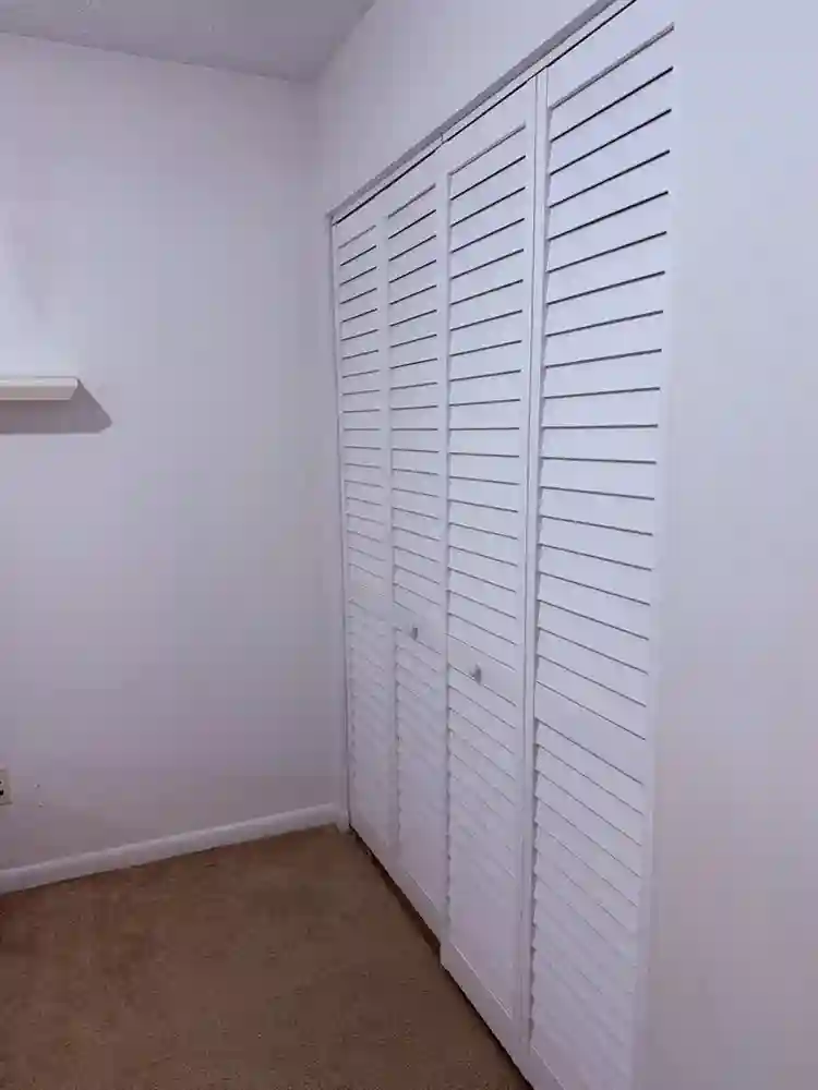 Carollwood Tampa room rental