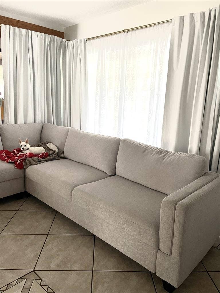 Carollwood Tampa room rental