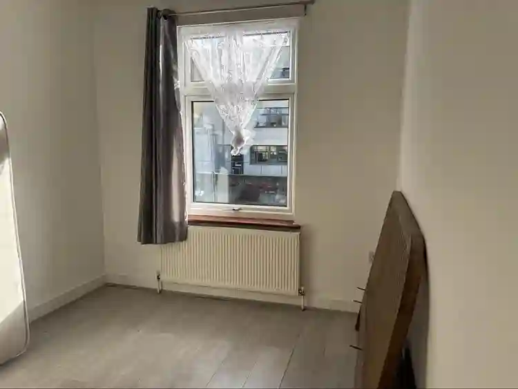 Looking for a housemate!