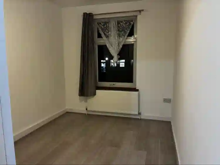 Looking for a housemate!