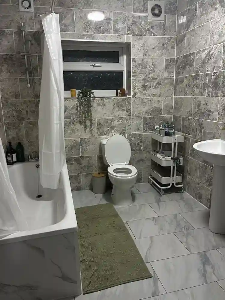 Looking for a housemate!