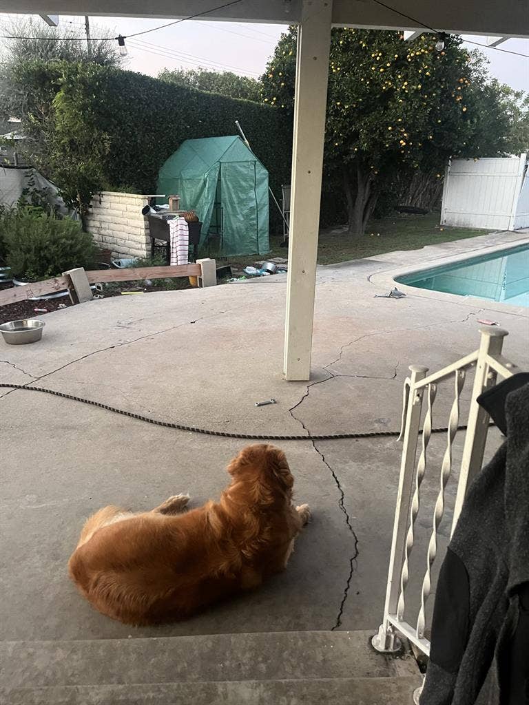 Female only. No pets sorry :( MAY