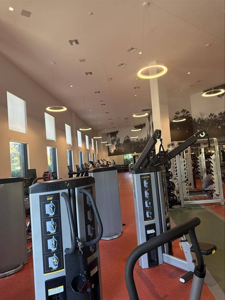 Clean Apt with a Clean Roommate