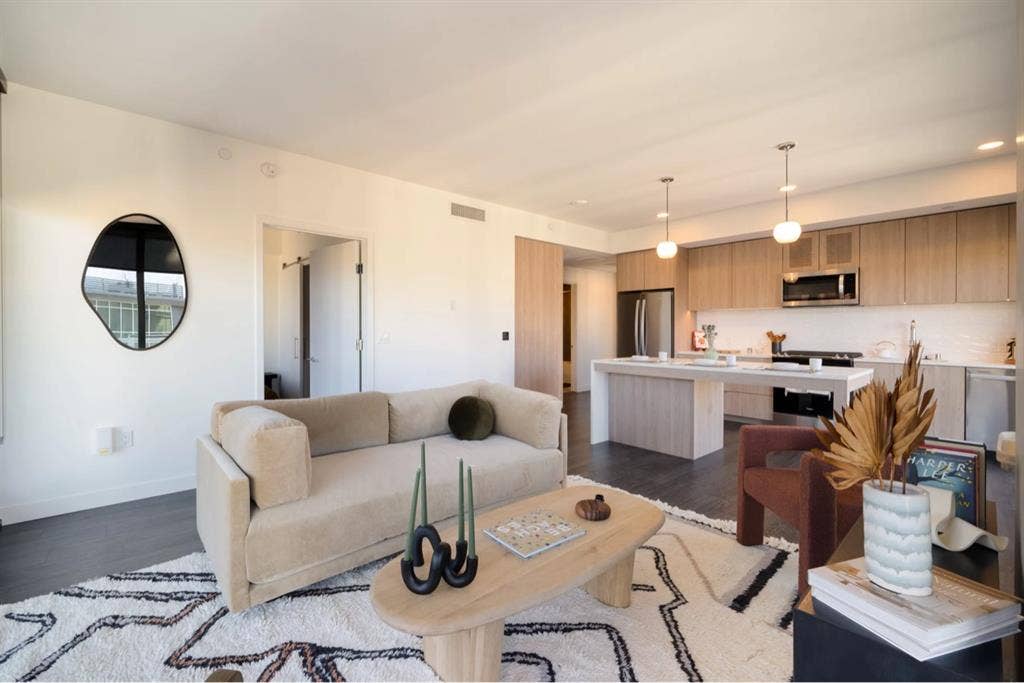 Clean Apt with a Clean Roommate