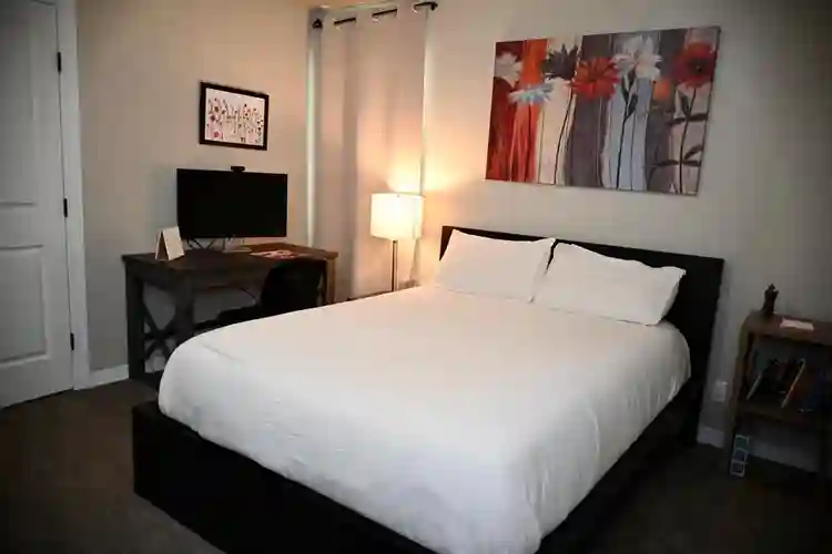 Looking for roommate(s). Friendly