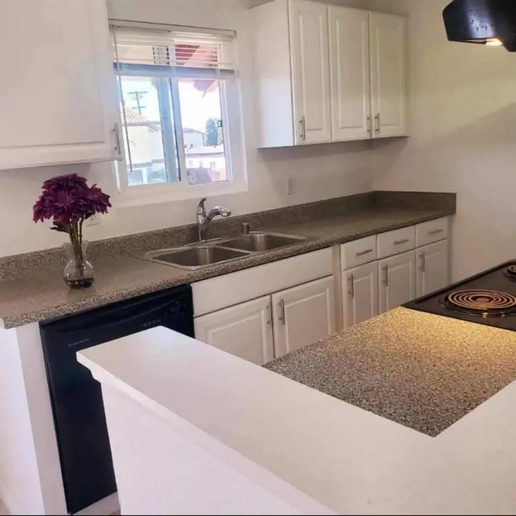 NEED A ROOMMATE FOR JANUARY