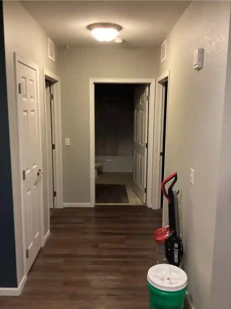 Room and bathroom available asap