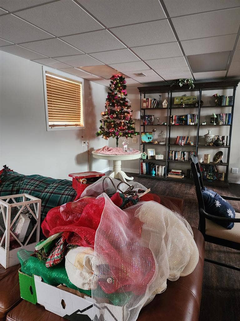 Roommate to share our house