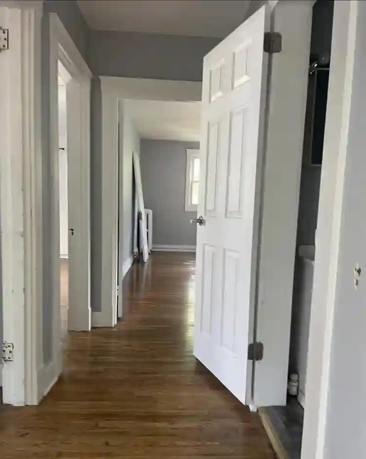 Looking for Roommates