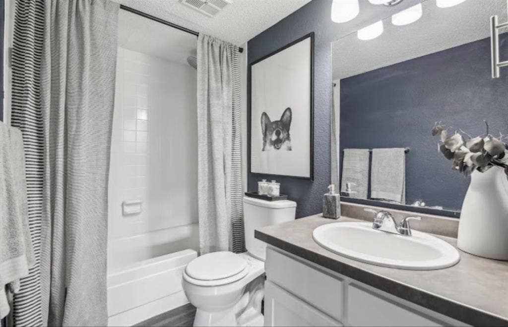 Private bath and in-unit W/D