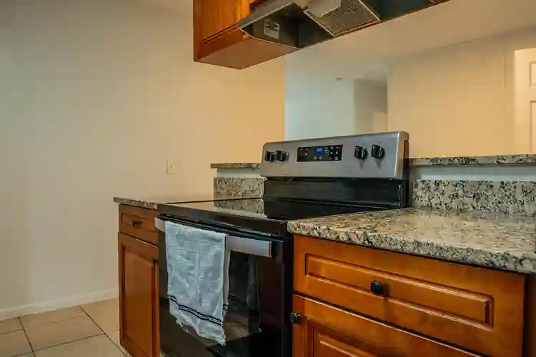 5 BR in Tampa