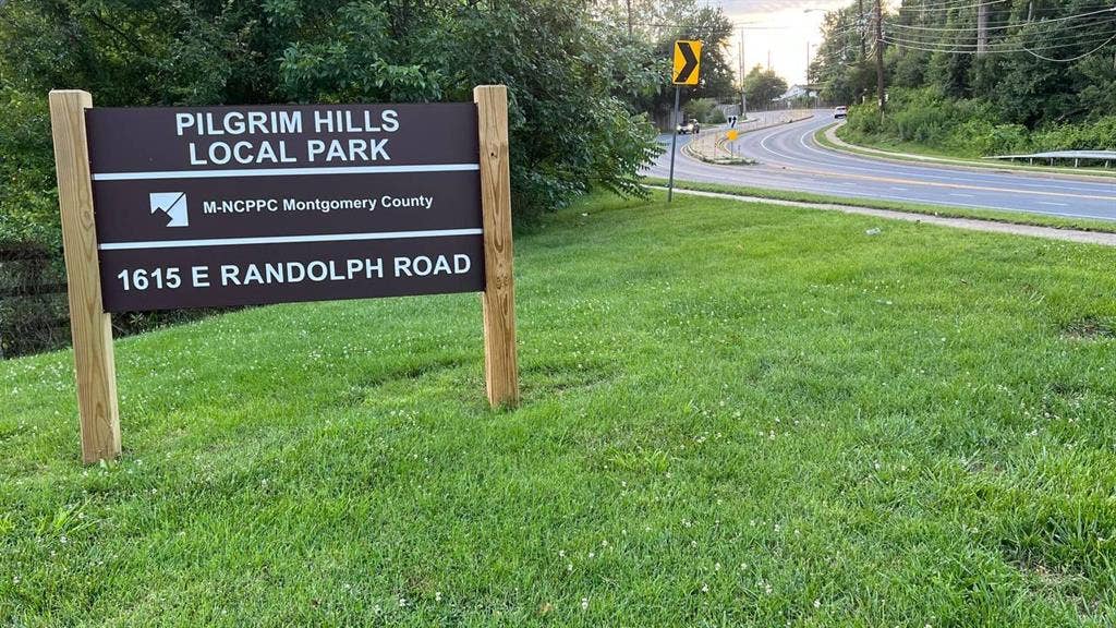 4 BR in Silver Spring