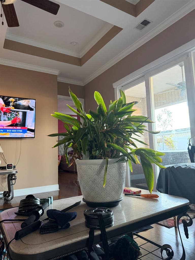 2 BR in Little River