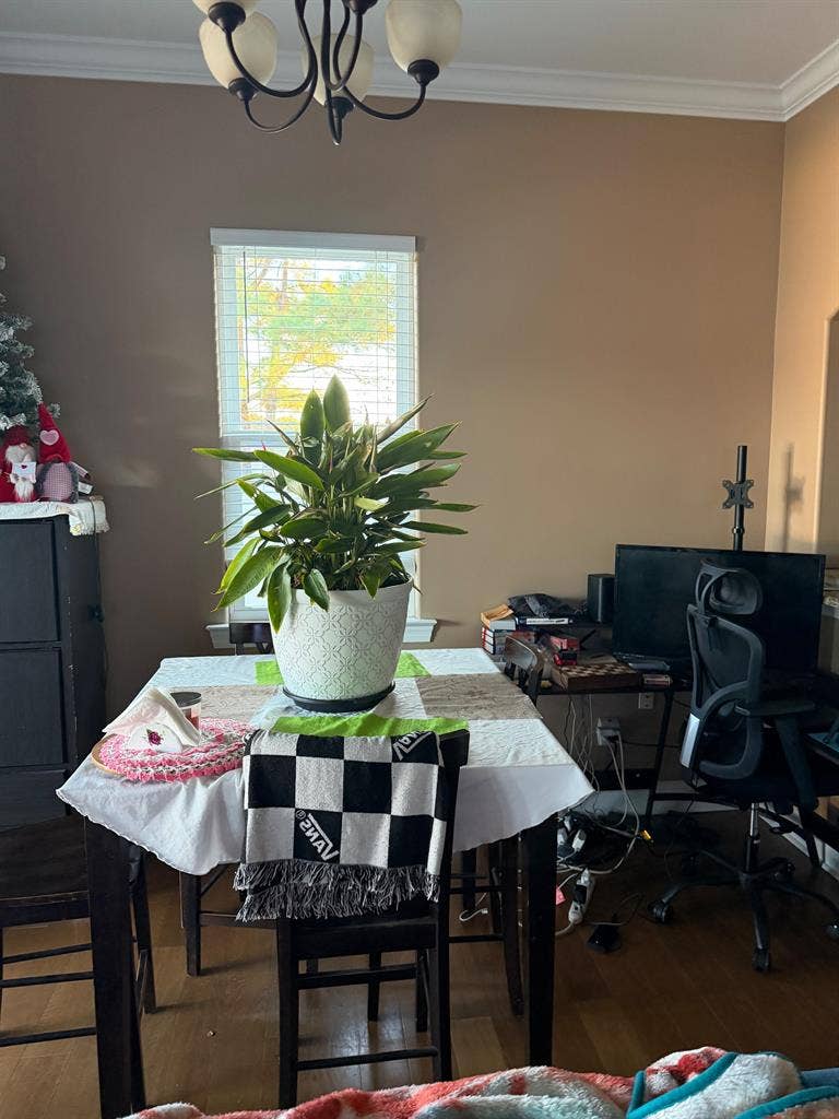 2 BR in Little River