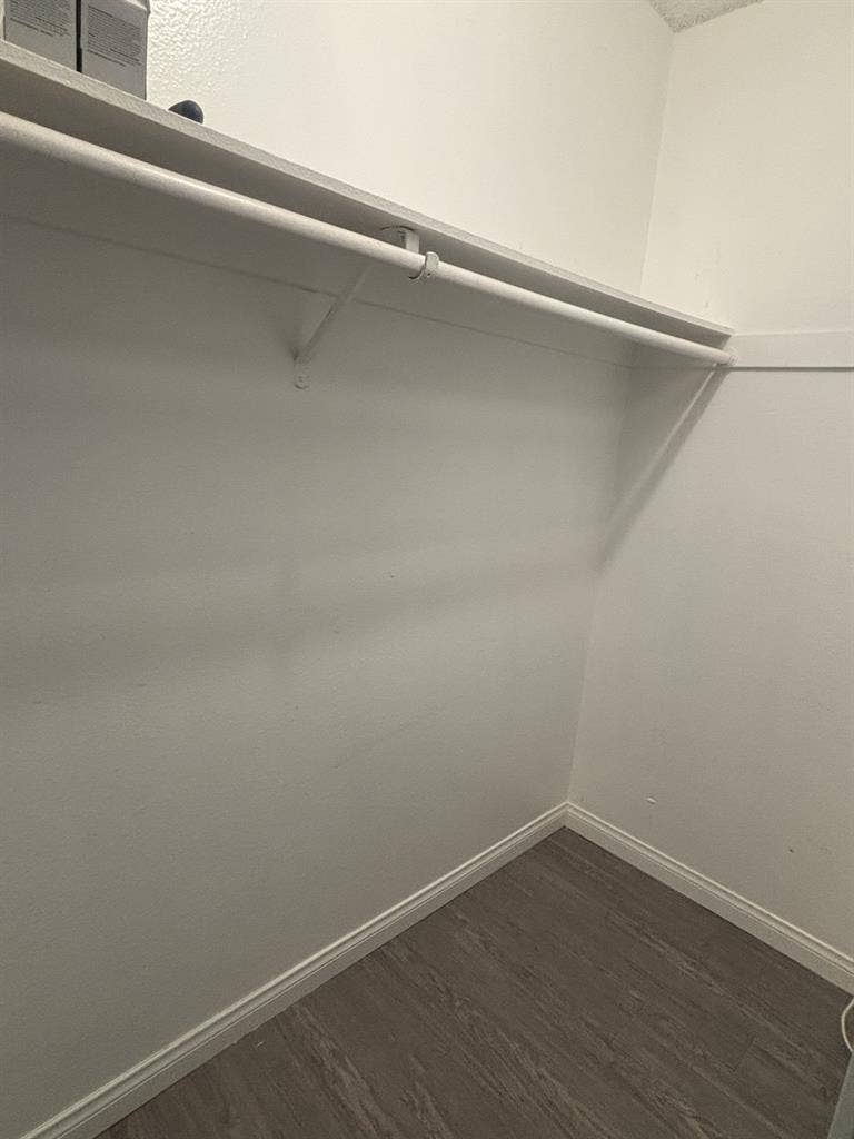 Must love Cats to live with me.