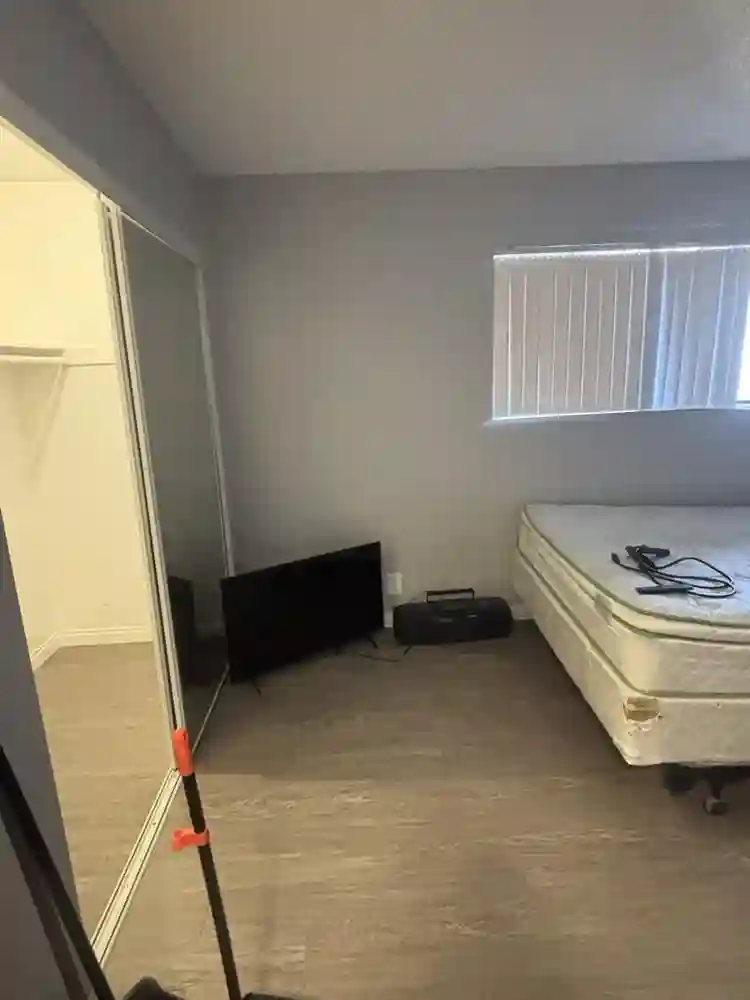 Must love Cats to live with me.