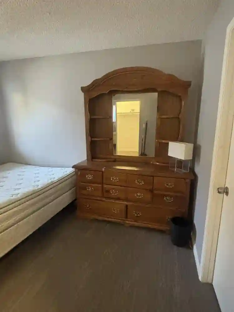 Must love Cats to live with me.