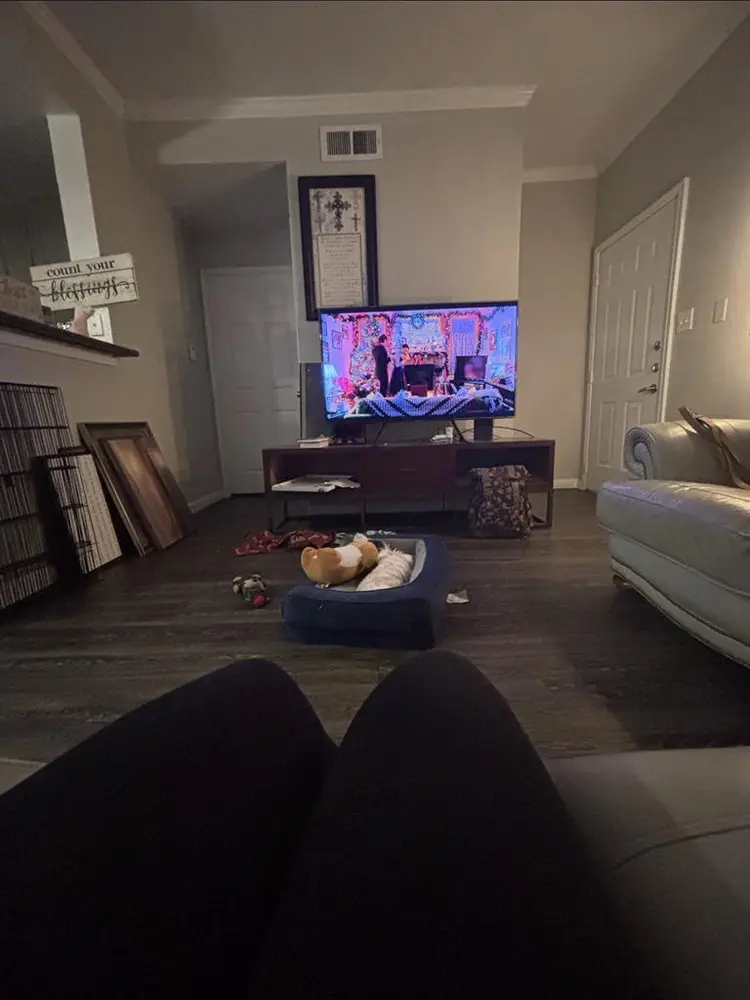 Living room accommodation