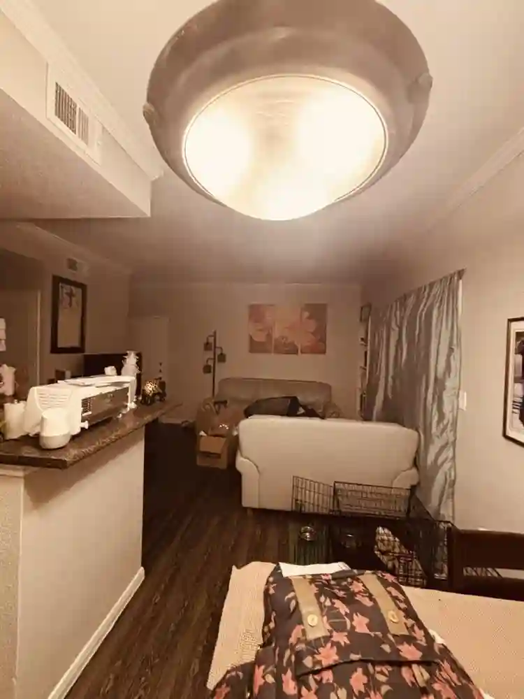 Living room accommodation