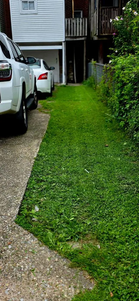 4 BR in Philadelphia