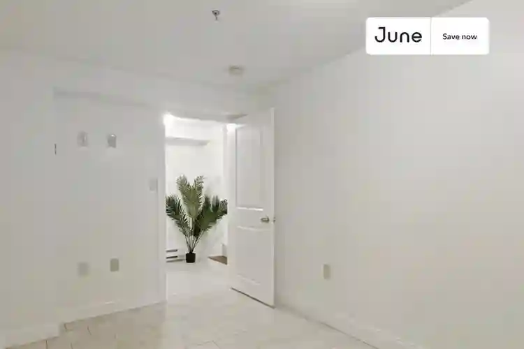 4 BR in Boston