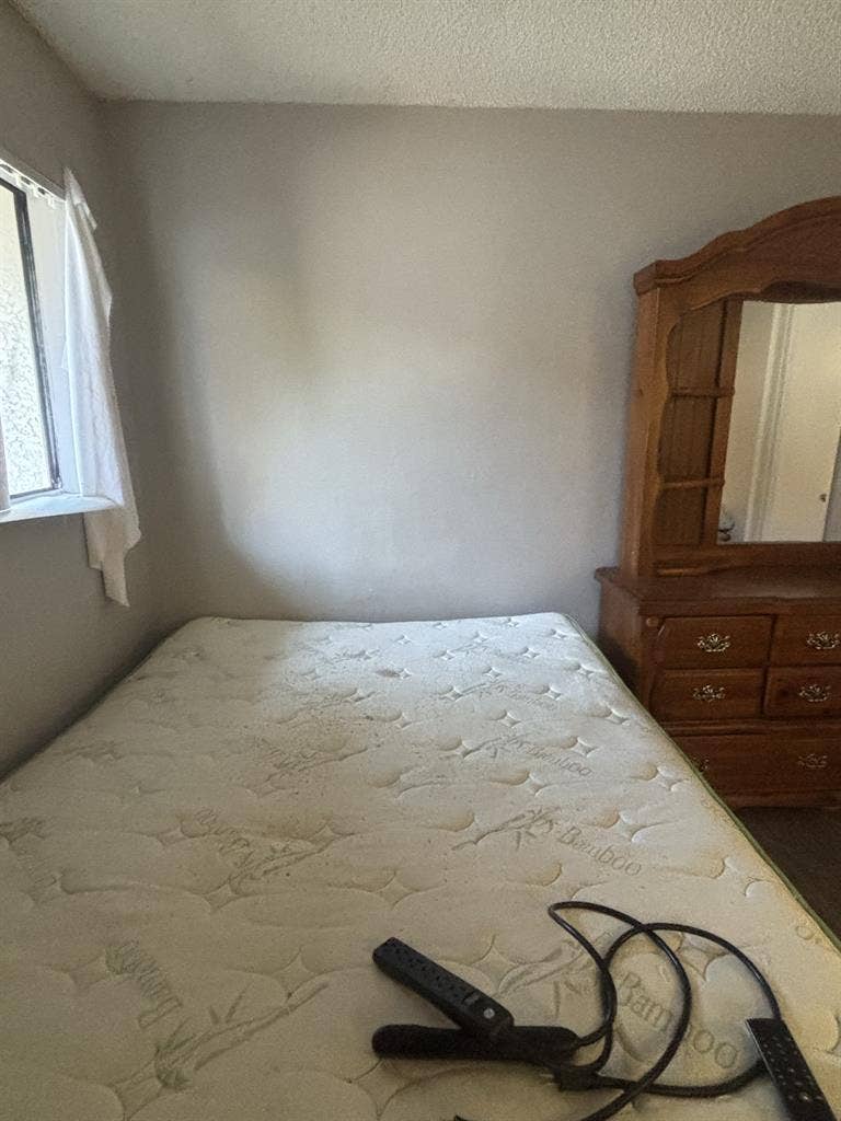 Must love Cats.  friendly home..