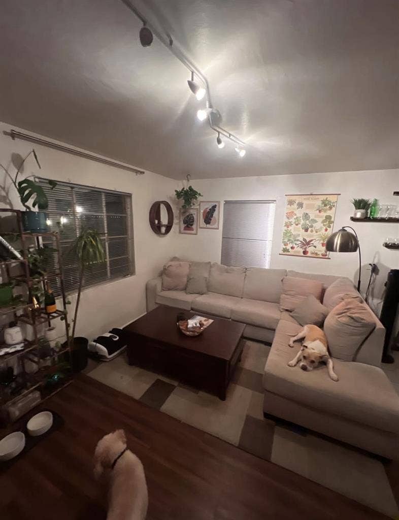 Room in Arcadia Lite