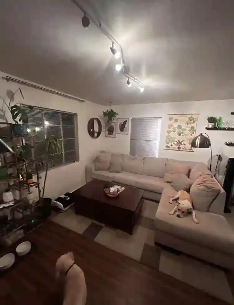 Room in Arcadia Lite