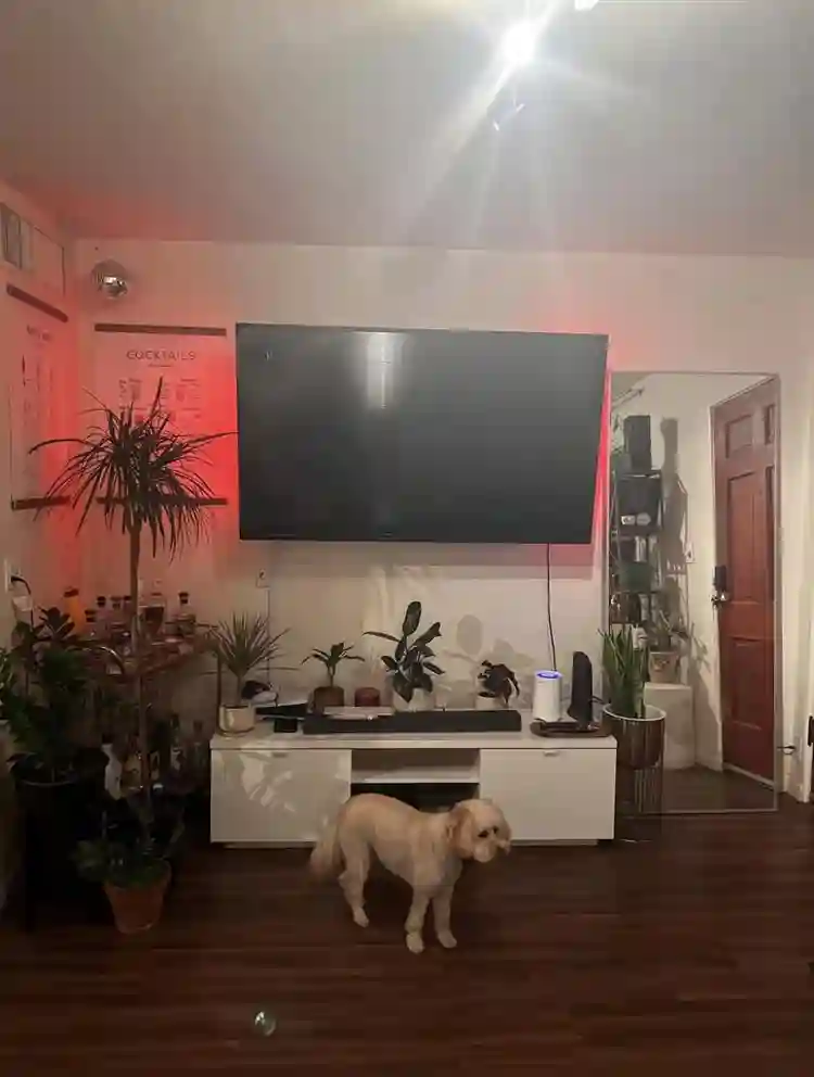 Room in Arcadia Lite