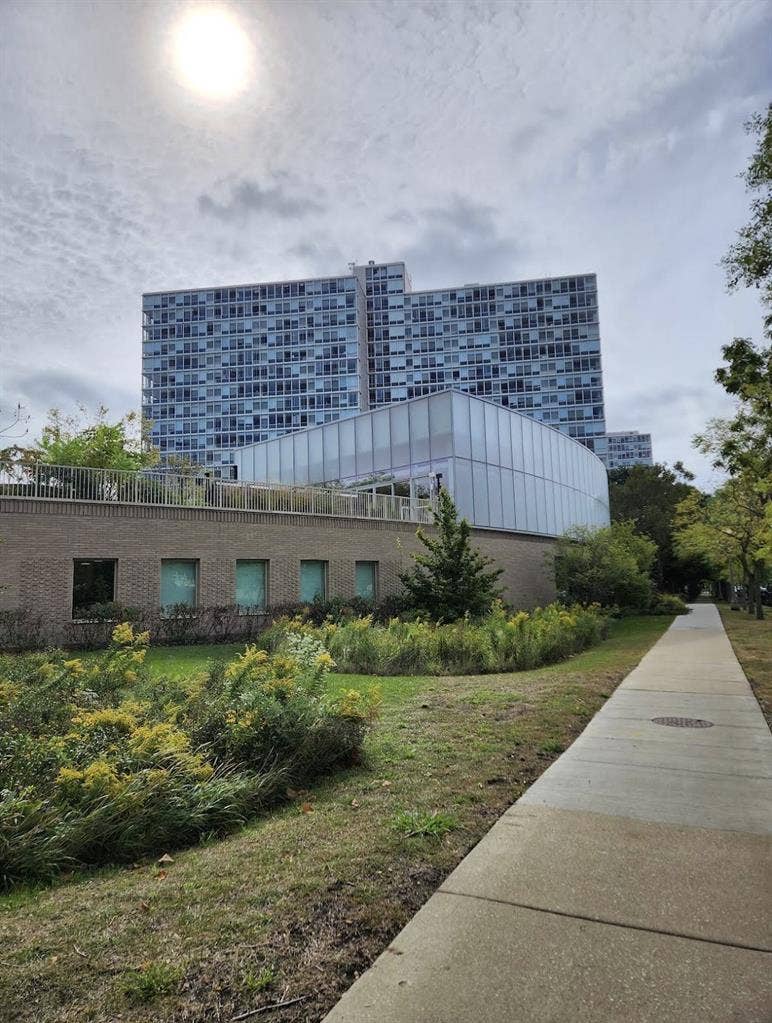 Shared Room Available