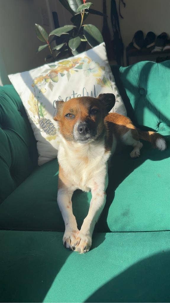 Cozy home near old town Beaverton