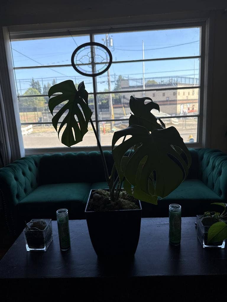 Cozy home near old town Beaverton