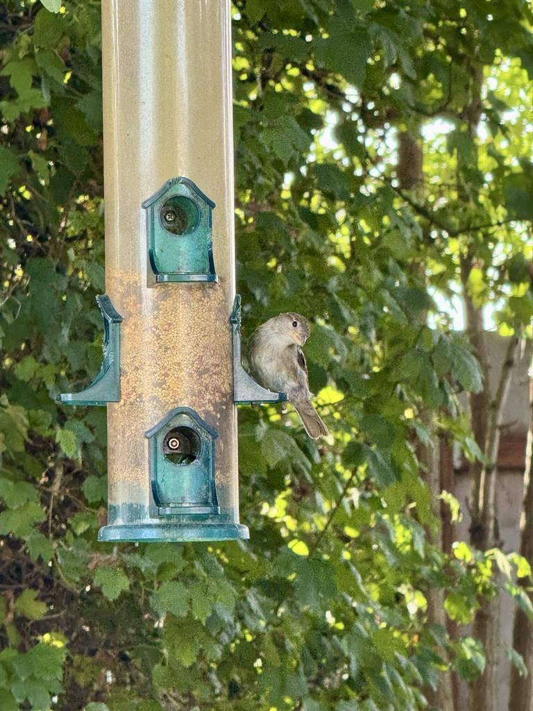 Cozy home near old town Beaverton