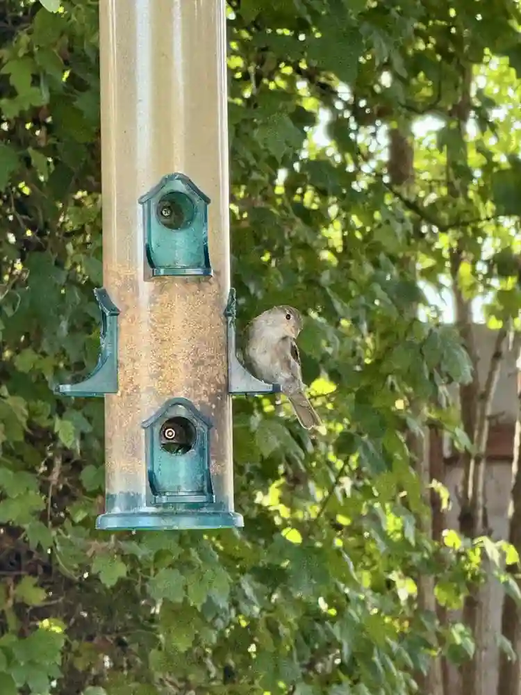 Cozy home near old town Beaverton