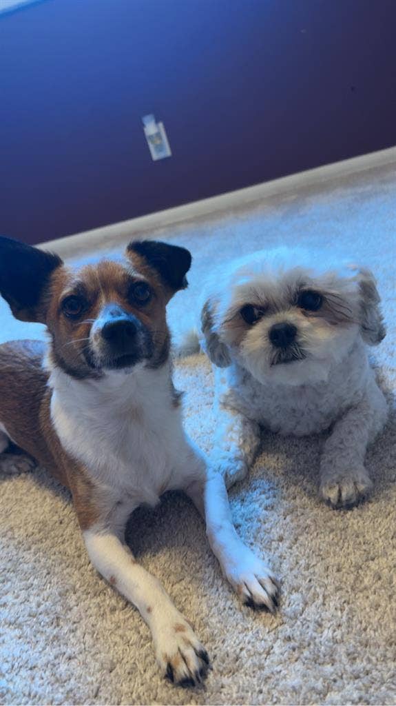 Cozy home near old town Beaverton