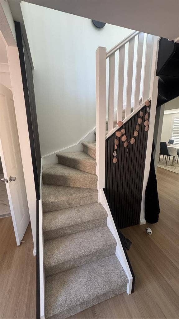 Female flatmate wanted - $ p/w