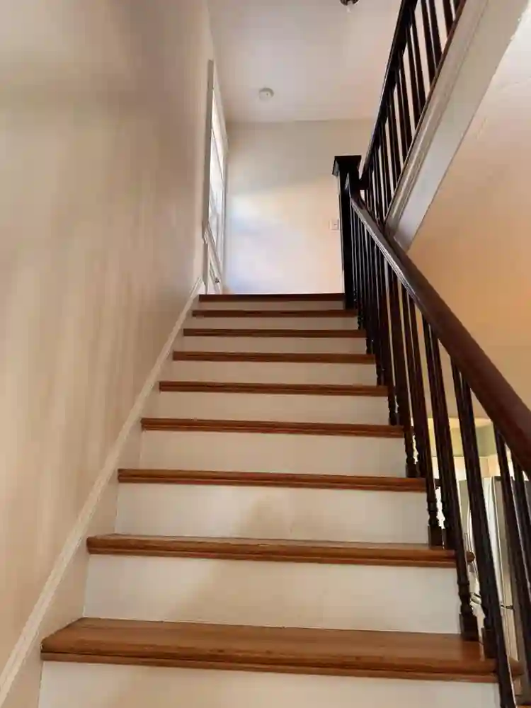 College students and faculty