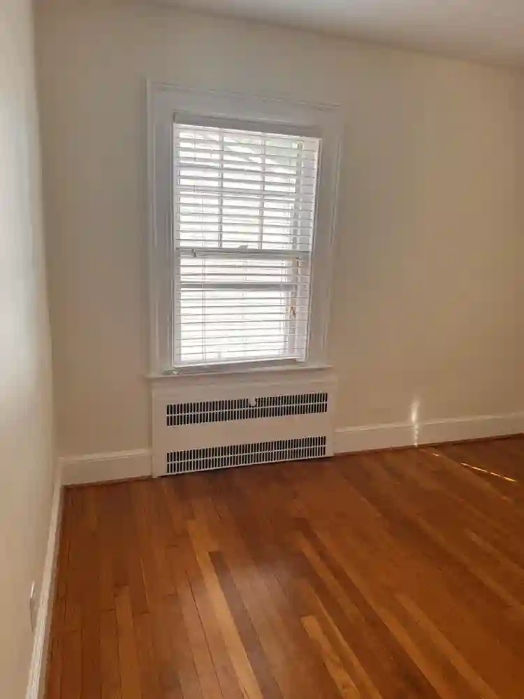 College students and faculty