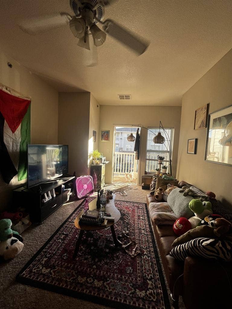 Room opening up in my apartment!