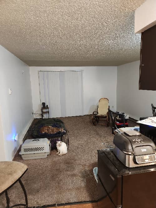 Living room for rent