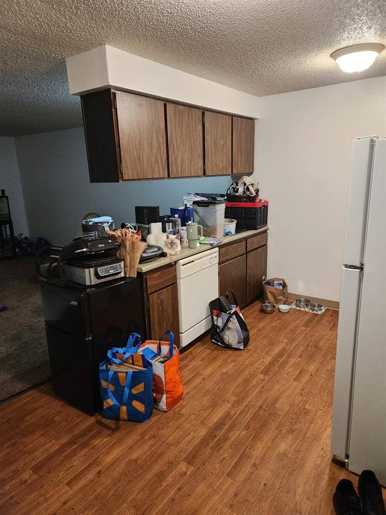 Living room for rent