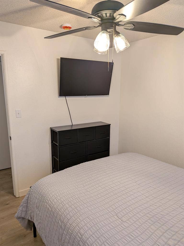 Holland House Room for Rent